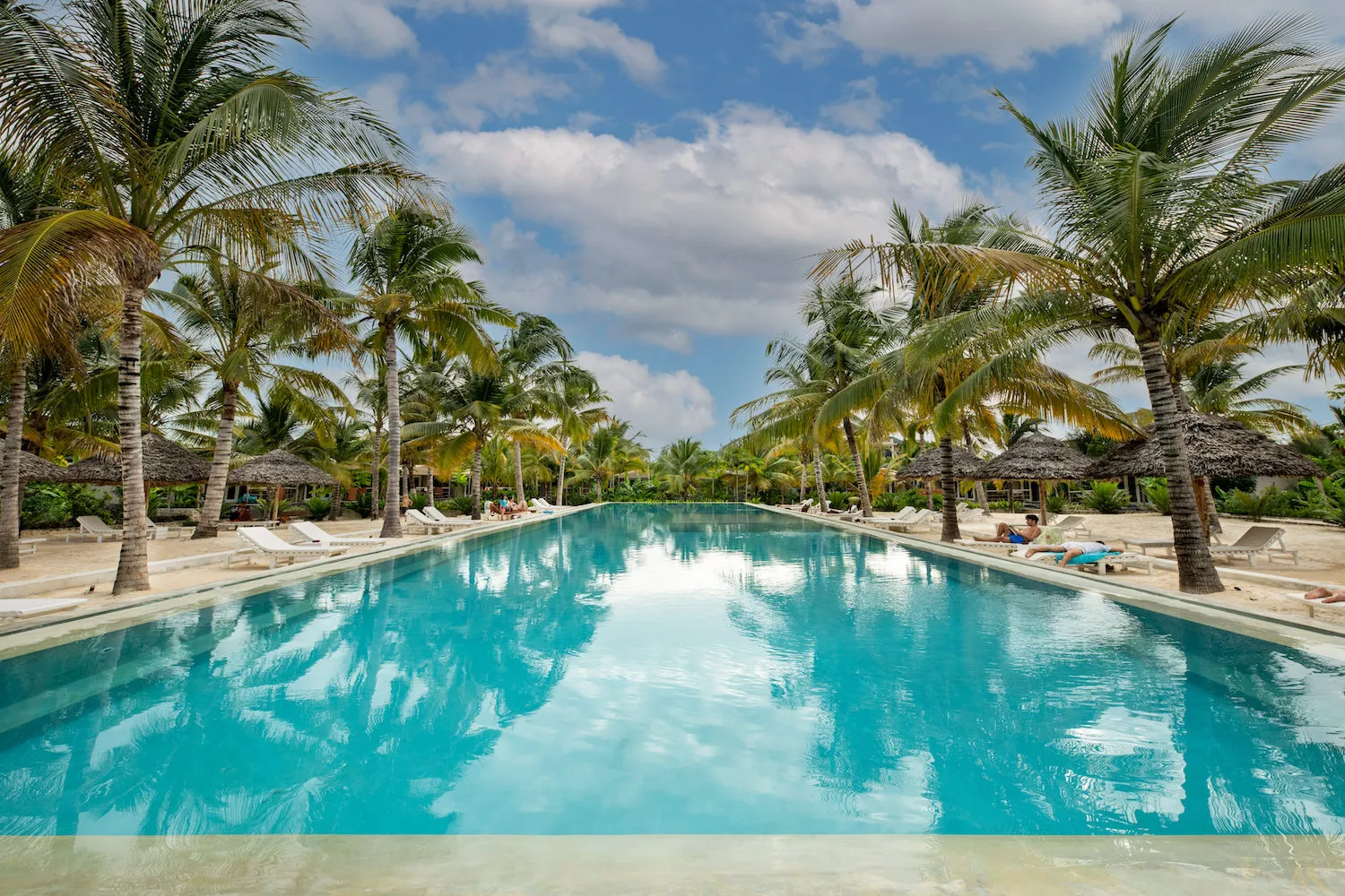 Zanzibar hotel La Luna Suite Apartments pool lined with coconut trees Our Zanzibar Hotel Group